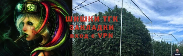 индика Гусиноозёрск